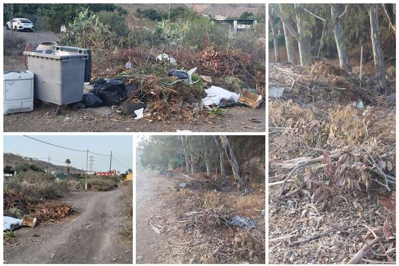 Basura y restos de poda, en el margen del camino de tierra del Barranco del Tundidor (Foto TA)